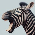 Zebra head close up. Yawning zebra with a funny face isolated on color background. ai generative