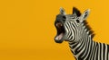 Zebra head close up. Yawning zebra with a funny face isolated on color background.