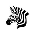 Zebra Head on white background