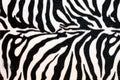 Zebra hide Royalty Free Stock Photo
