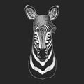 Zebra Horse Cool pirate, seaman, seawolf, sailor, biker animal for tattoo, t-shirt, emblem, badge, logo, patch. Image