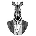 Zebra Horse Hipster animal Hand drawn image for tattoo, emblem, badge, logo, patch, t-shirt