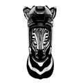 Zebra, horse wearing hockey helmet. Hand drawn image of lion for tattoo, t-shirt, emblem, badge, logo, patch.
