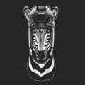 Zebra Horse Wild animal wearing hockey helmet. Print for t-shirt design.