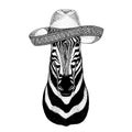 Zebra Horse Wild animal wearing sombrero Mexico Fiesta Mexican party illustration Wild west