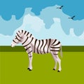 Zebra icon. African animals.
