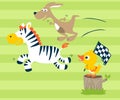 Zebra and kangaroo with little duck cartoon on a race