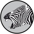 Zebra laughing Royalty Free Stock Photo