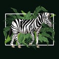 Zebra with leaves around