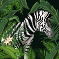 Zebra with leaves around