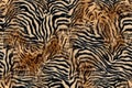 Zebra - leo mix pattern, Animal skin print.Fur texture. - Illustration Royalty Free Stock Photo