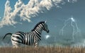 Zebra Lightning Royalty Free Stock Photo