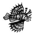 Zebra lionfish Hand drawn sketch vector illustration