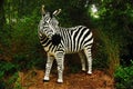 A zebra made entirely of interconnected blocks stands in a park