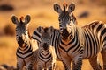 Zebra mother and zebra foal in grassland savanna, close up shot, beautiful wildlife animal background. Generative AI