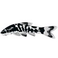 zebra oto, tiger oto tropical freshwater catfish. Otocinclus cocama freshwater ornamental fish illustrations aquarium catfish Royalty Free Stock Photo