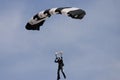 Zebra parachute Royalty Free Stock Photo