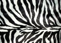 Zebra pattern