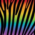 Trendy Horizontal black Zebra pattern on rainbow background Royalty Free Stock Photo