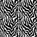 Zebra pattern