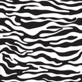 Zebra pattern as a background, vector illustration with seamless texture of its skin Royalty Free Stock Photo