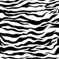 Zebra pattern as a background, vector illustration with seamless texture of its skin Royalty Free Stock Photo