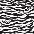 Zebra pattern as a background, vector illustration with seamless texture of its skin Royalty Free Stock Photo