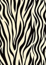 A Zebra Pattern, Blond Zoo, and the Surreal Lossless Mastodon