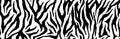 Zebra fur repeating texture. Animal skin stripes, jungle wallpapers. Black and white seamless pattern. Vector Royalty Free Stock Photo