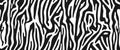 Zebra pattern, stylish texture. Animal natural print. For the design of wallpaper, textile, cover. Vector seamless background. Royalty Free Stock Photo