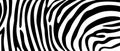 Zebra pattern texture repeating. Simple pattern, black line for textile design fabric. Royalty Free Stock Photo