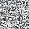 Zebra pattern - vector halftone seamless pattern