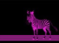 Zebra pink