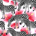 Zebra on pink hibiscus background, seamless pattern.