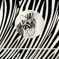 Zebra portrait abstract background Royalty Free Stock Photo