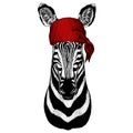 Zebra portrait. Head of wild animal. Bandana. Pirate. Motorcycle.