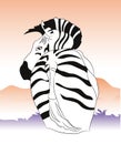 Zebra portrait vector illustration, color illustration, vector