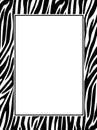 Zebra print border Royalty Free Stock Photo