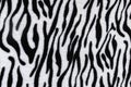 Zebra print pattern