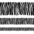 Zebra print seamless background border frame pattern. Black and Royalty Free Stock Photo