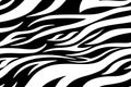 Zebra print. Stripes, animal skin, tiger stripes, abstract pattern, line background. Black and white vector monochrome seamles Royalty Free Stock Photo