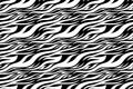 Zebra print. Stripes, animal skin, tiger stripes, abstract pattern, line background. Black and white vector monochrome seamles Royalty Free Stock Photo