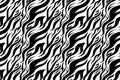 Zebra print. Stripes, animal skin, tiger stripes, abstract pattern, line background. Black and white vector monochrome seamles Royalty Free Stock Photo