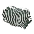 Zebra print for your design Royalty Free Stock Photo