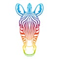 Zebra rainbow head