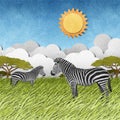 Zebra recycled paper background