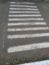 Zebra road marking on the kindergarten territory