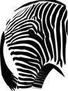 Zebra Rump Royalty Free Stock Photo