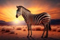 Zebra in savannah African wildlife on sunset background, Africa day. Created Generative Ai Royalty Free Stock Photo