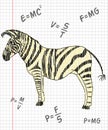 Zebra in a school notebook